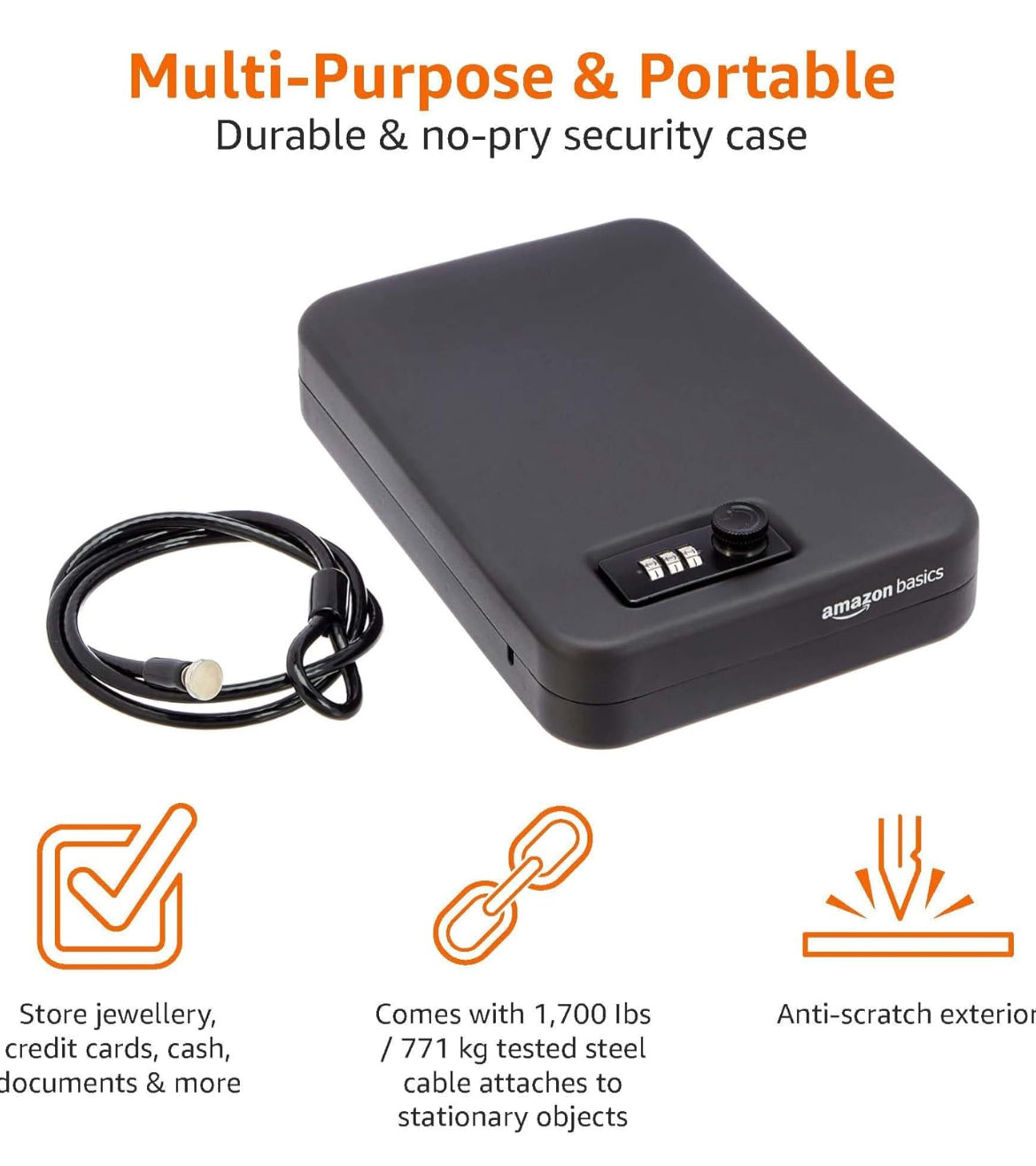 Portable security case