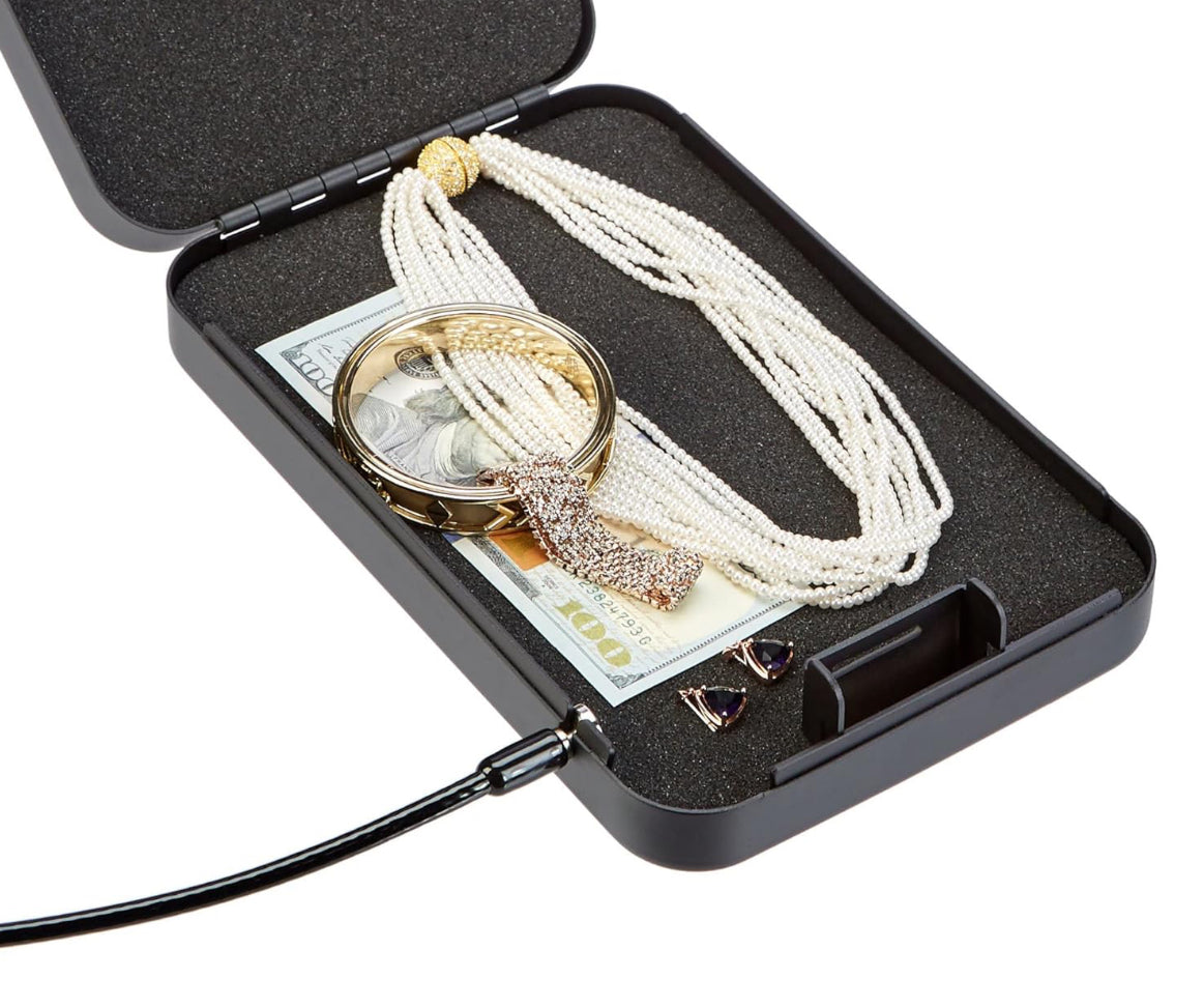 Portable security case