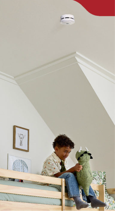 Smoke & carbon monoxide alarm